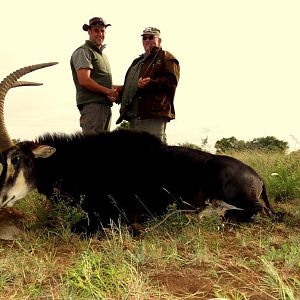 Sable Hunting in South Africa