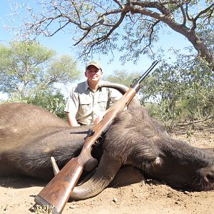 Hunting Buffalo Cow South Africa