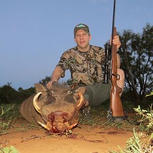 South Africa Warthog Hunt