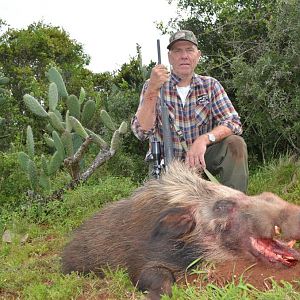 South Africa Bushpig  Hunting