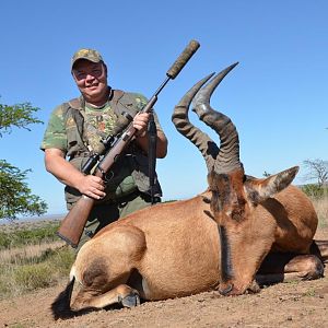 Red Hartebeest Hunt South Africa