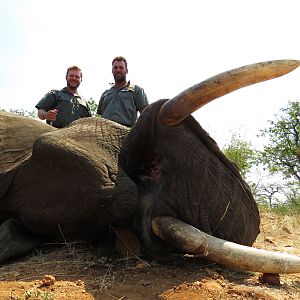 South Africa Hunting Elephant