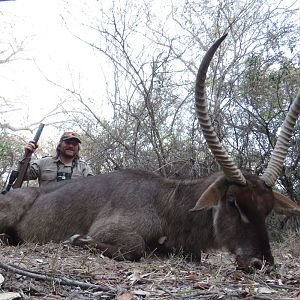 Waterbuck South Africa Hunt