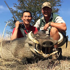 South Africa Warthog Hunt