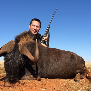 Hunt Black Wildebeest South Africa