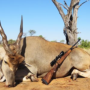 South Africa Hunting Eland