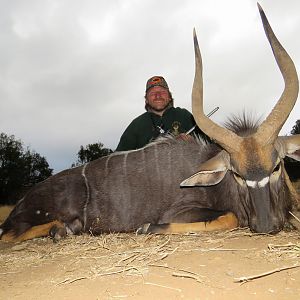 Nyala Hunt South Africa