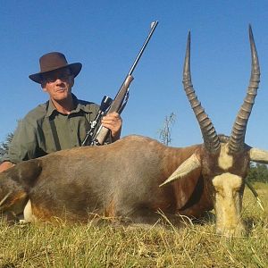 Hunting Blesbok South Africa