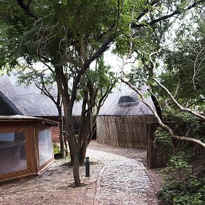 Yellow Wood Bush Camp Hunting Accommodation Pro Hunting Safaris