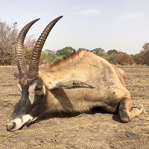 Hunting Burkina Faso Roan