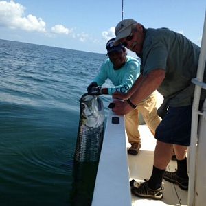 Fishing Tarpon