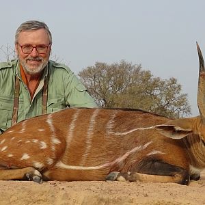 Harnessed Bushbuck Hunt Benin