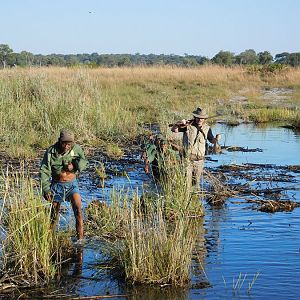 Hunting the Swamps