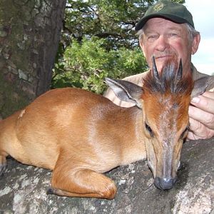 Red Duiker Hunt