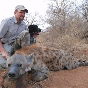 Spotted Hyena Hunt