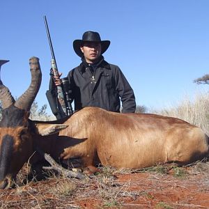 Red Hartebeest Hunt