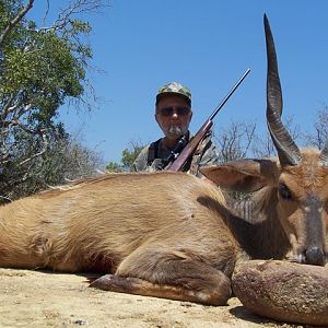 Bushbuck  Hunting