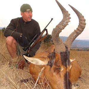 Red Hartebeest Hunt