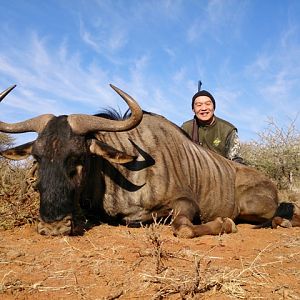 Blue Wildebeest Hunting