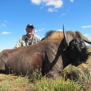 Hunt Black Wildebeest