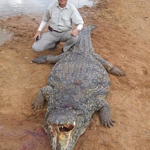 Hunt Crocodile