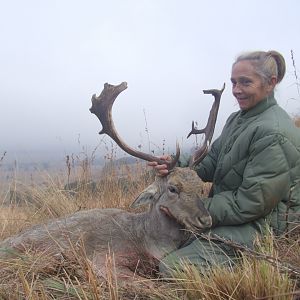 Hunting Fallow Deer