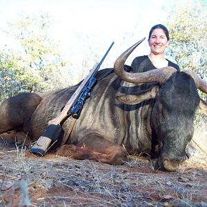 Blue Wildebeest Hunting