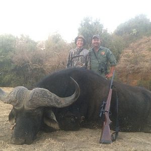 Cape Buffalo Hunt in South Africa