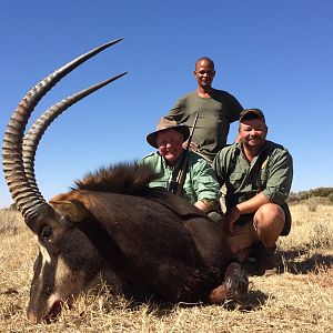 Sable Hunting in South Africa