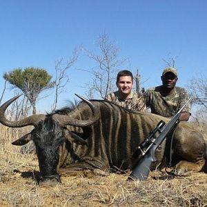 South Africa Blue Wildebeest Hunting