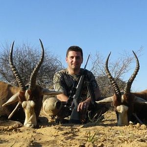 Hunting Blesbok South Africa