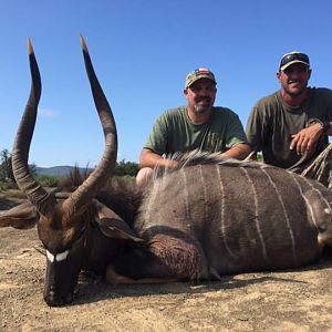 Nyala Hunt South Africa