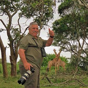 South Africa Wildlife Giraffe