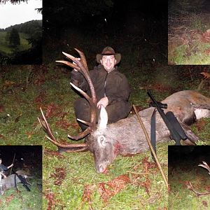Hunt Red Deer