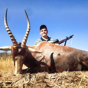 Hunting Blesbok South Africa