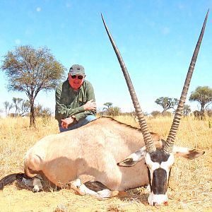 Gemsbok Bull