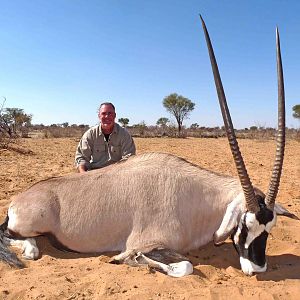 Gemsbok Bull