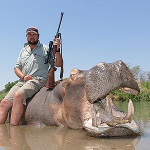 Hippo Hunt