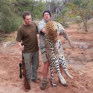 Leopard Hunt