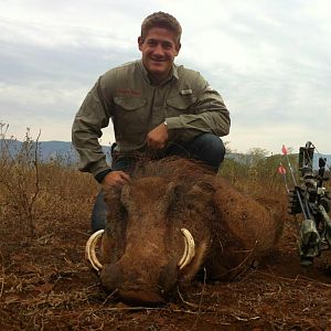 Warthog Bow Hunt