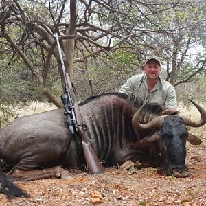 Blue Wildebeest Hunting