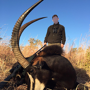 Sable Antelope Hunting