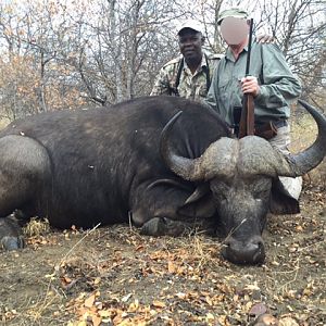 Cape Buffalo Hunting