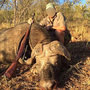 Cape Buffalo Hunt