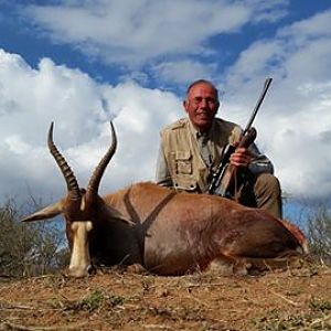 Hunting Blesbok South Africa