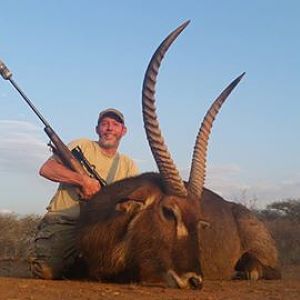 Waterbuck South Africa Hunt