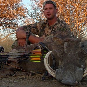 Warthog Bow Hunt Namibia