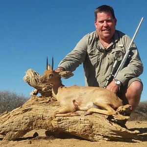 Steenbok Namibia Hunting