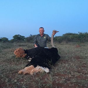 South Africa Ostrich Hunt