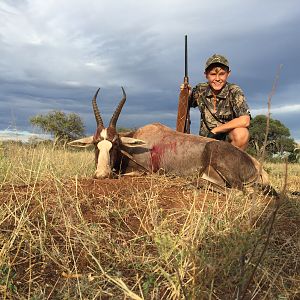 Hunting Blesbok South Africa